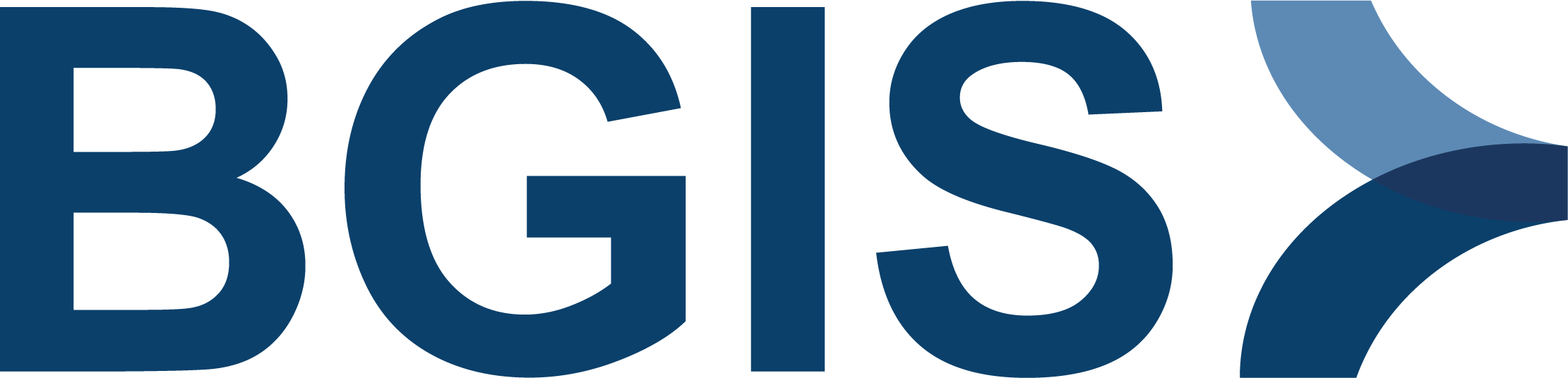 BGIS working with VISION